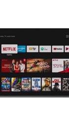 Vivax 65Q10C