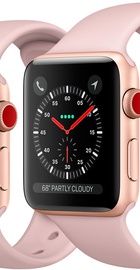 Apple Watch 42mm Series 3 GPS + Cellular Gold Aluminium Case with Pink Sand Sport Band (MQK32)