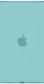 Apple Silicone Case for 9.7-inch iPad Pro Sea Blue (MN2G2)