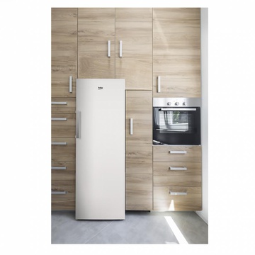 Beko RFNE290L21W