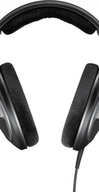 Sennheiser HD559