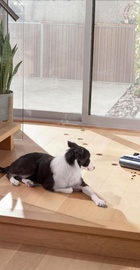 Tineco Floor One S7 Flashdry Pet (FW221800DE)