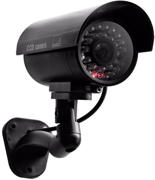DM-6W