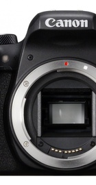 Canon EOS 800D Body