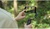 DJI Osmo Mobile 6 (CP.OS.00000213.01)