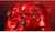 Microsoft Xbox Series X/S Wireless Controller Pulse Cipher Special Edition (QAU-00164)