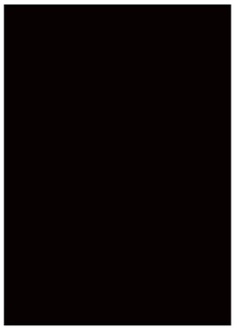 Savage Infinity Vinyl Photo Black 2.74m x 6.09m