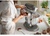 KitchenAid Artisan 6.6 л 5KSM70SHXECU