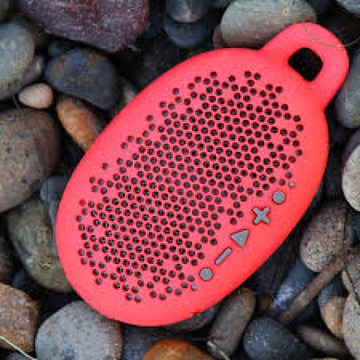 Boom Urchin Red