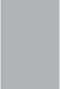 Savage Widetone Slate Gray 1.36m x 11m