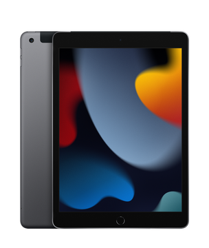 Apple iPad 10.2 2021 Wi-Fi 256GB Space Gray (MK2N3)