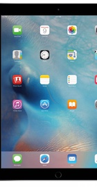 Apple iPad Pro 12.9-inch 256GB Wi-Fi+LTE Space Gray (ML3T2)  2016