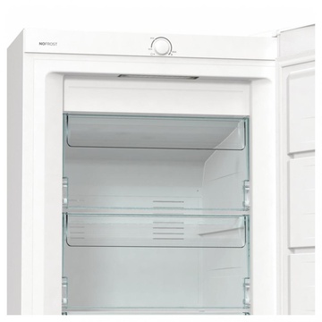 Gorenje FN619EEW5