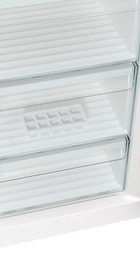 Gorenje FN619EES5