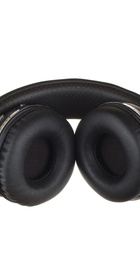 Bluedio T2 Plus со встроенным радио (Черный)