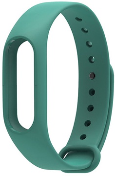 Xiaomi Mi Band 2 Dark Green