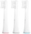 Infly Toothbrush Head for P60 (3 pcs)