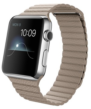 Apple Watch 42mm Stainless Steel Case with Stone Leather Loop (MJ442)