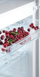 Snaige RF56SM-S5MP2F