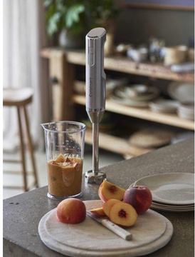 Cuisinart RHB100E