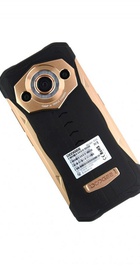 DOOGEE S99 8/128GB Gold