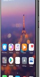 HUAWEI P20 Pro 6/128GB Black (51092EPD)