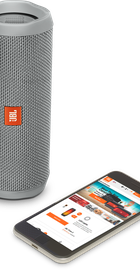 JBL Flip 4 Gray