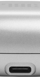 JBL Live Flex Silver (JBLLIVEFLEXSVR)