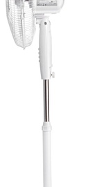 Ardesto FN-1608RW