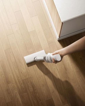 Xiaomi Vacuum Cleaner P30