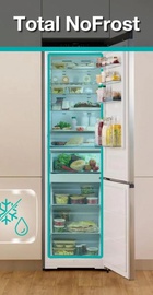 Gorenje NRB620E61X4WFE