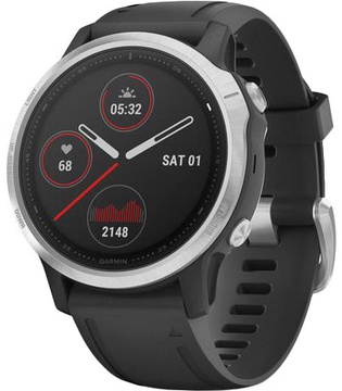 Garmin Fenix 6S Silver (010-02159-01)