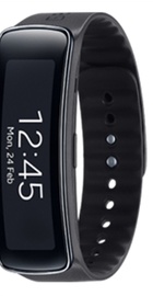 Samsung Gear Fit (Black)