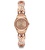 Swatch ROSE HUG YSG165G