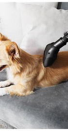 CECOTEC Conga Immortal ExtremeSuction 22,2 Animal Hand (05441)