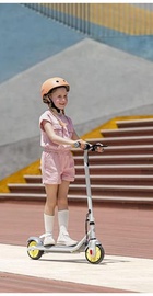 Ninebot eKickScooter ZING C8 (AA.00.0011.61)
