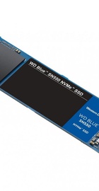 WD Blue SN550 1 TB (WDS100T2B0C)