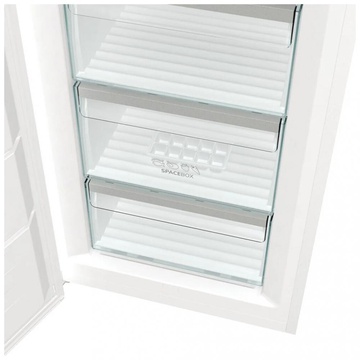 Gorenje FNP619EAW6L
