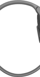 Garmin vivoactive 4S Powder Gray/Silver (010-02172-03)