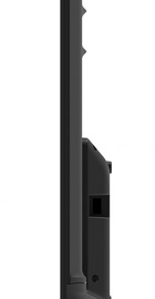 Blaupunkt 43FE265