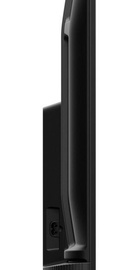 TCL 43P6K