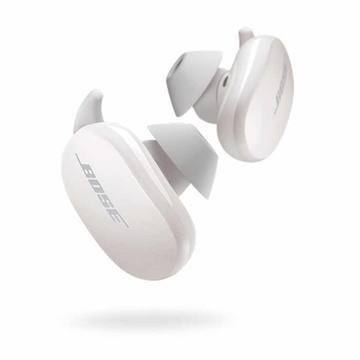 Bose QuietComfort Earbuds Soapstone 831262-0020
