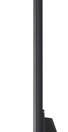 LG 86QNED81