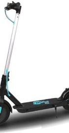 Motus Scooty 10 Lite