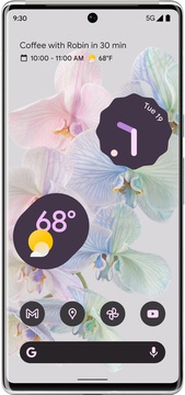 Google Pixel 6 Pro 12/128GB Cloudy White EU (Global Version)