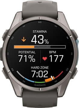 Garmin Fenix 9 43mm Titanium with Pebble Gray Silicone Band (010-04761-10/11)