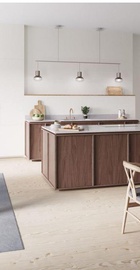 Electrolux WQ81-PANIM