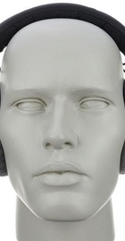 Beyerdynamic DT 770 PRO 250 Ohm (235251)