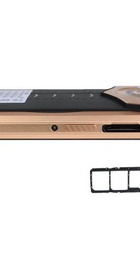 DOOGEE S99 8/128GB Gold