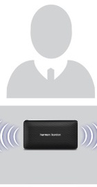 Harman/Kardon Esquire Mini Black